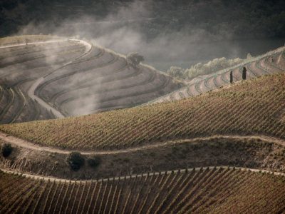 pictury-photo-tours-douro-landscape-portugal