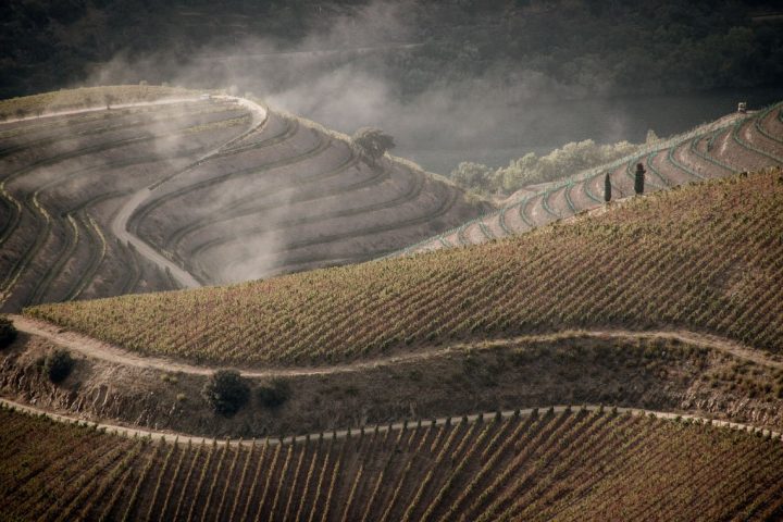 pictury-photo-tours-douro-landscape-portugal