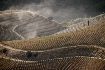 pictury-photo-tours-douro-landscape-portugal