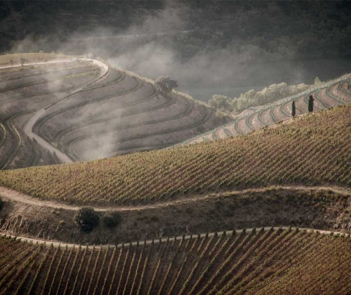 pictury-photo-tours-douro-landscape-portugal