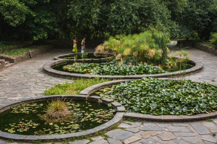 botanical-garden-porto