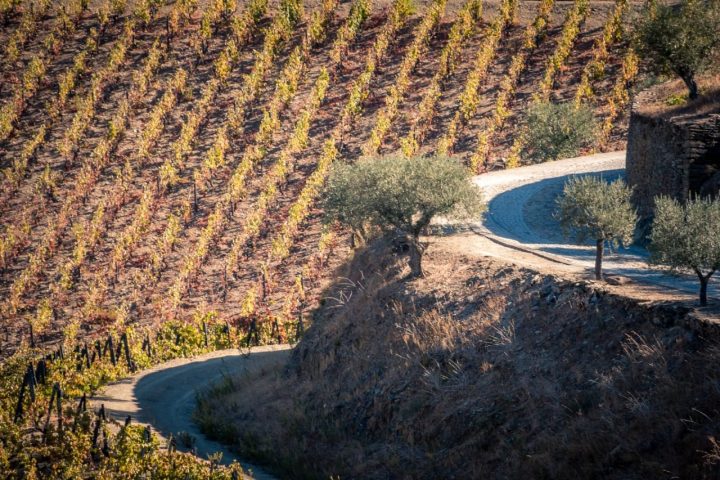 Douro-Valley-Photo-Tour-Portugal