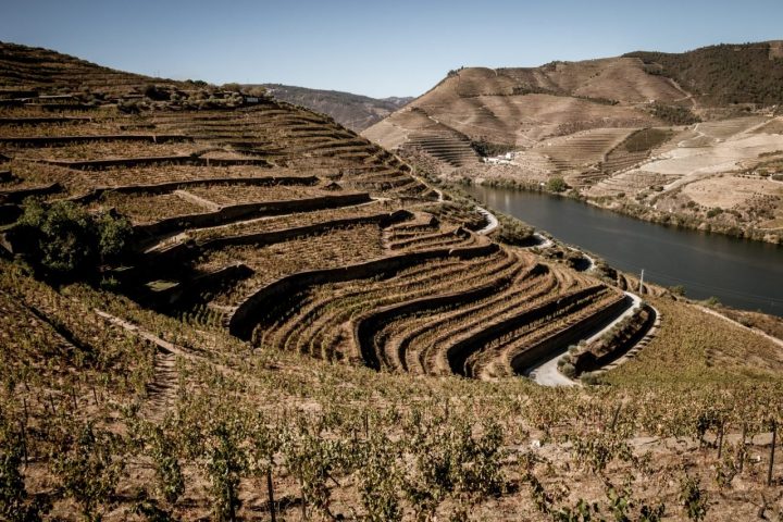 The river in Douro Valley