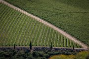 Douro-Valley-Portugal