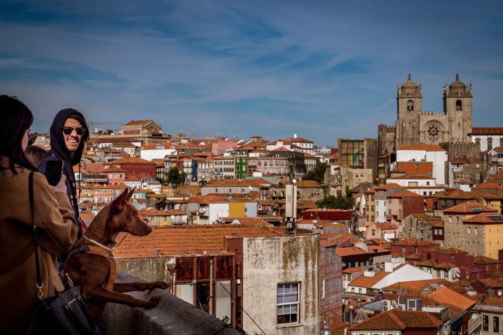 Porto-Photo-Tour-Vitoria-Belvedere