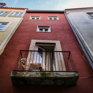 Porto-Photo-Tour-Bairro-Sé