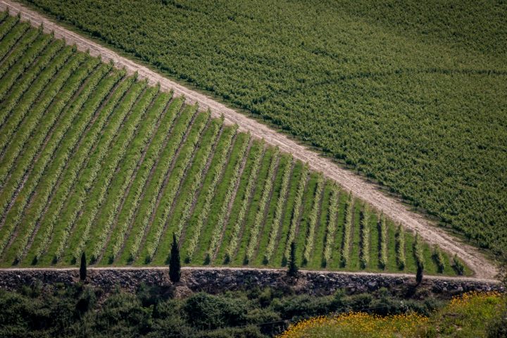 Douro Valley Photo Tour