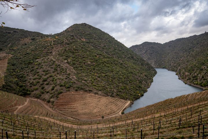 Douro Valley landscape