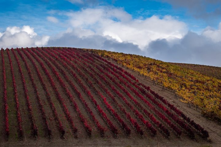 Douro Valley autumn colors