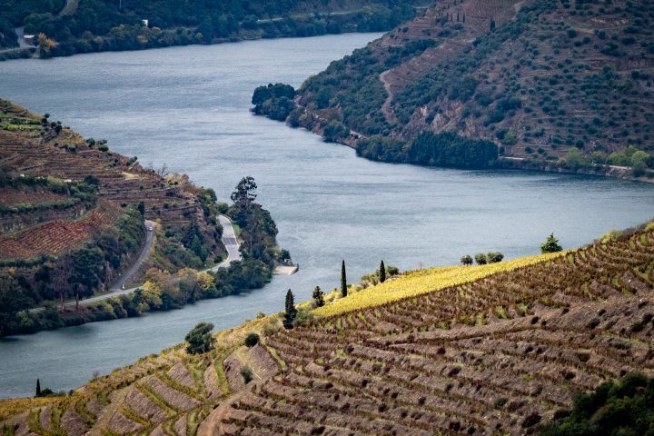 Douro-Valley-Vineyards