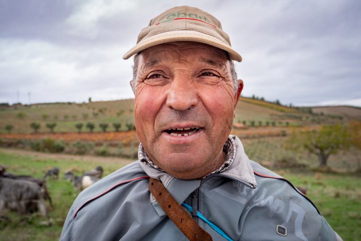 Douro-Valley-Shepherd