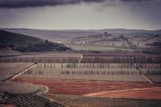 Obidos-Landscape-Portugal