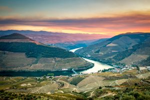 Casal-Loivos-Douro-Portugal