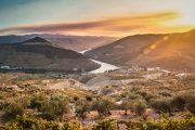 Douro-Portugal-Casal-Loivos