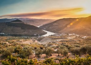 Douro-Portugal-Casal-Loivos