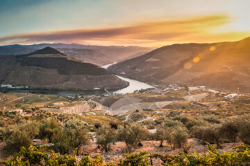 Douro-Portugal-Casal-Loivos