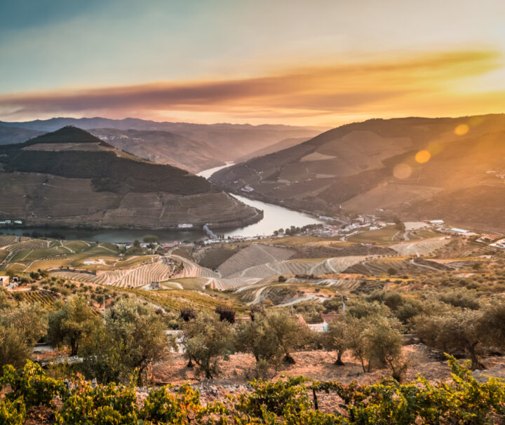 Douro-Portugal-Casal-Loivos