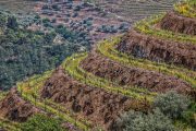 Douro-Valley