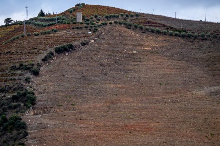 Portugal Douro Valley