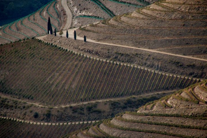 Douro Valley views from Abelheira