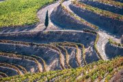 Landscape Douro Valley Portugal