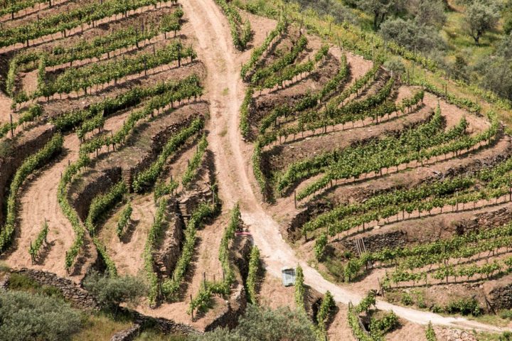 Landscape Douro Valley