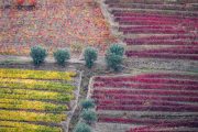 Douro Valley