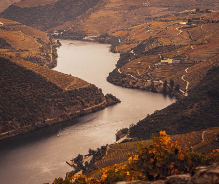 Douro Valley