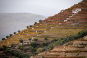 Douro Valley