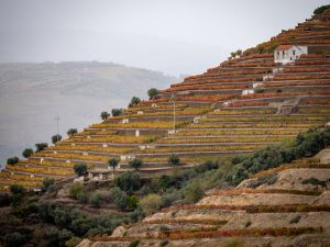 Douro Valley