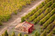 Douro Valley