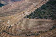 Região Douro