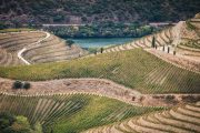 Douro Valley