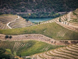 Douro Valley