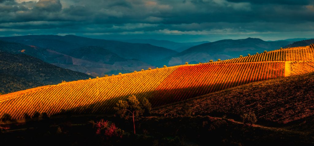 Autumn in Douro Valley