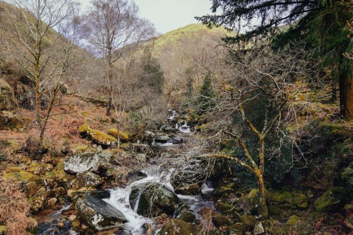 Peneda-Gerês National Park