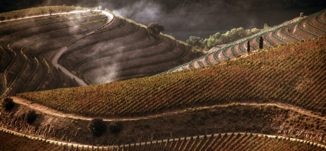 Douro Valley