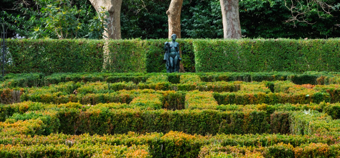 garden photography