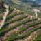 best vineyards in douro valley