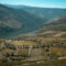 Douro seasonal photography