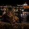Porto night tour