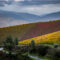 Northern Portugal