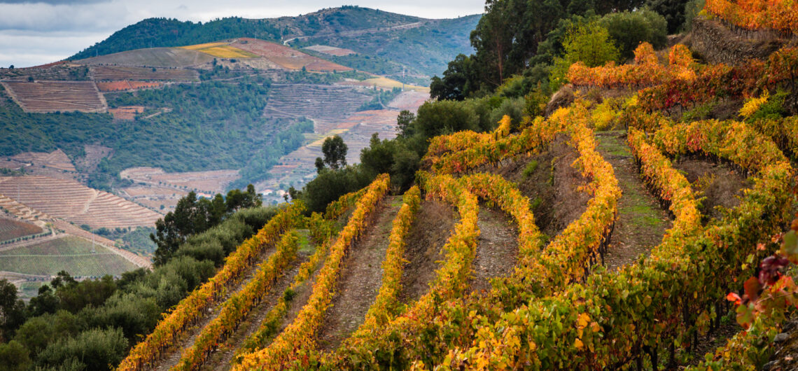 Autumn Douro Valley