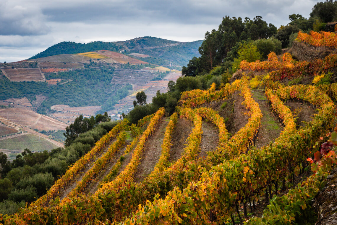 Autumn Douro Valley