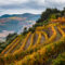 Autumn Douro Valley