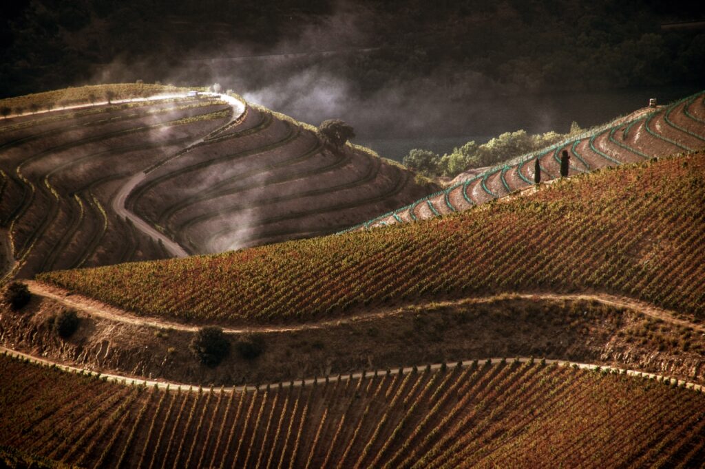 Portugal_Douro_Valley